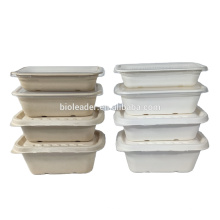 Biodegradable Disposable Sugarcane Bamboo Food Container Tray